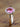 Pinkfarbener Turmalin mit 0,11ct Brillanten
